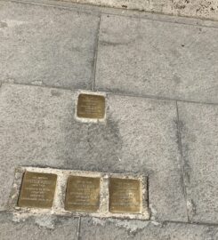 Via Eleonora D’Arborea 12