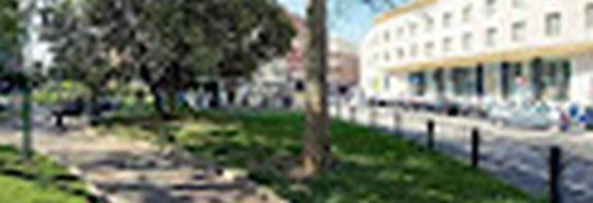 Alis Laura Affittacamere Roma