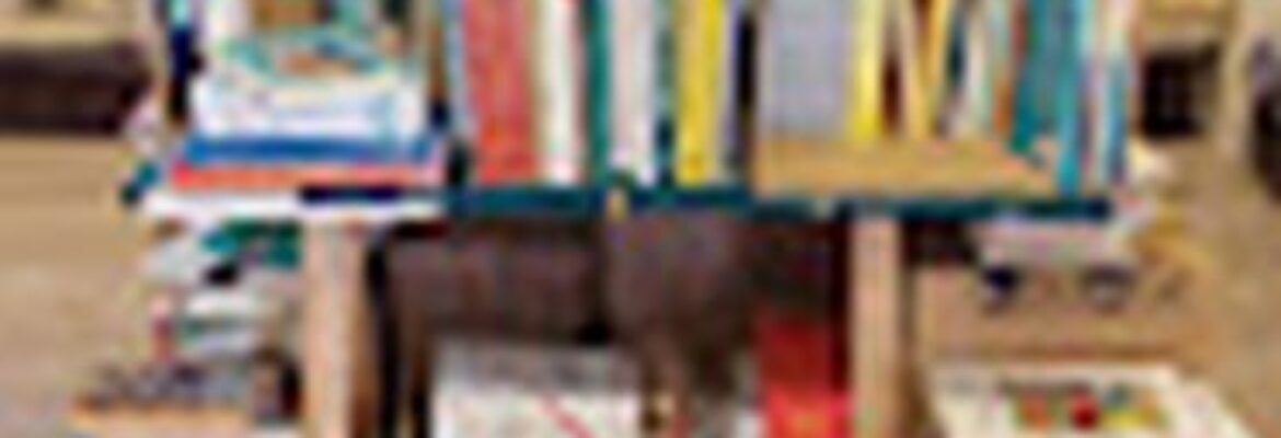 La Libreria Roma – Libreria Universitaria