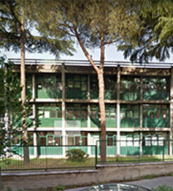 Scuola Falcone Borsellino