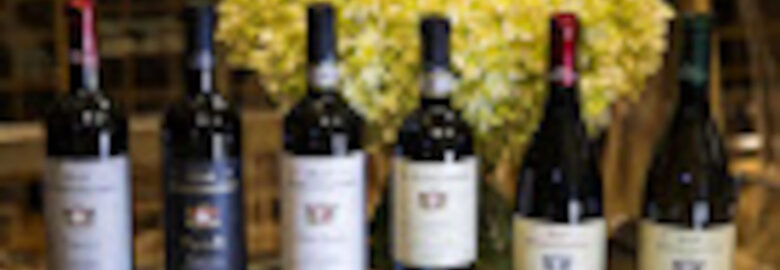 Apewineboxes | La migliore selezione online di Vino Artigianale, Vino Naturale e Vino Biodinamico